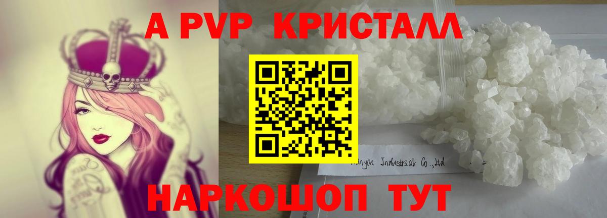 APVP СК Асино
