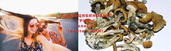 бошки Балахна