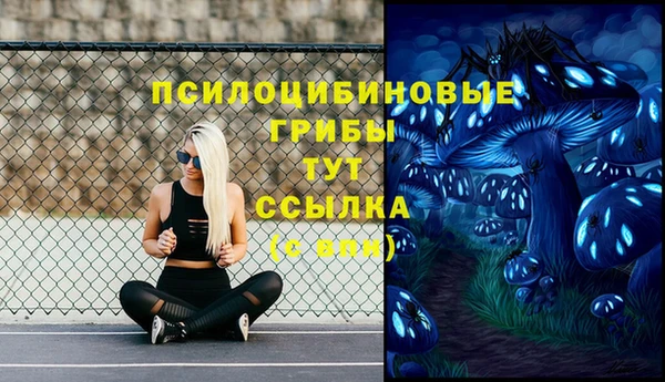 бошки Балахна