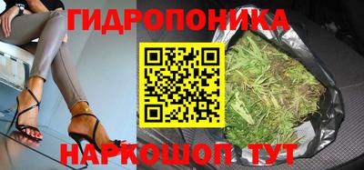 каннабис Аргун