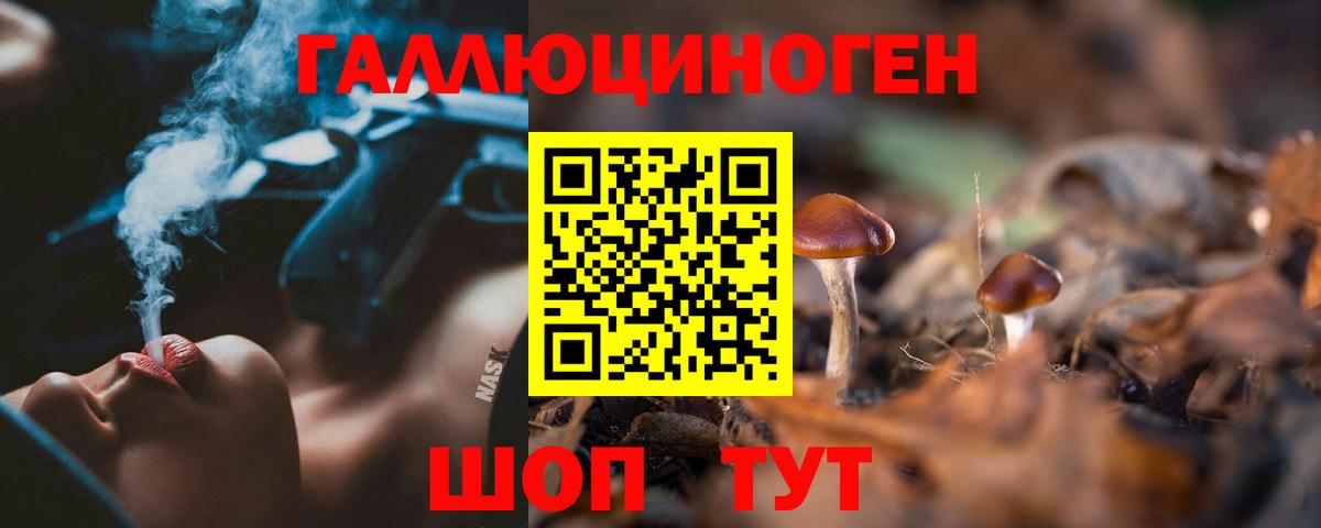 Асино  Галлюциногенные грибы мицелий  Вход с VPN 